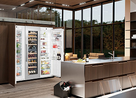 Встраиваемый двухдверный холодильник Liebherr SBSWdf 99I5