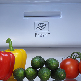 Широкий двухдверный холодильник с морозильной камерой Hyundai CS4502F белый фото 4 фото 4