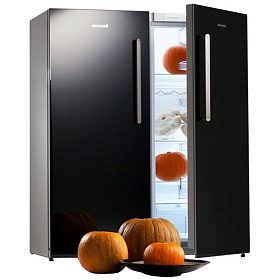 Чёрный маленький холодильник Snaige F 22SM+С 29SM