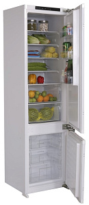 Двухкамерный холодильник ноу фрост Ascoli ADRF310WEBI фото 4 фото 4