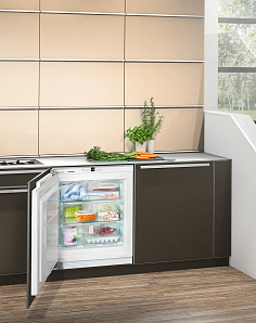 Встраиваемый небольшой холодильник Liebherr SUIGN 1554 фото 2 фото 2